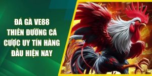 Đá gà VE88 – Thiên Đường Cá Cược Uy Tín Hàng Đầu Hiện Nay
